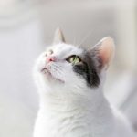 診療しています